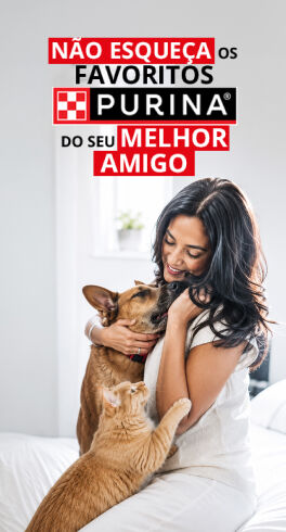 Pre&ccedil;os de melhor amigo